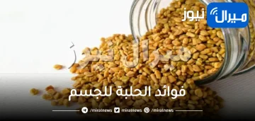 فوائد الحلبة للجسم وطرق استخدامها