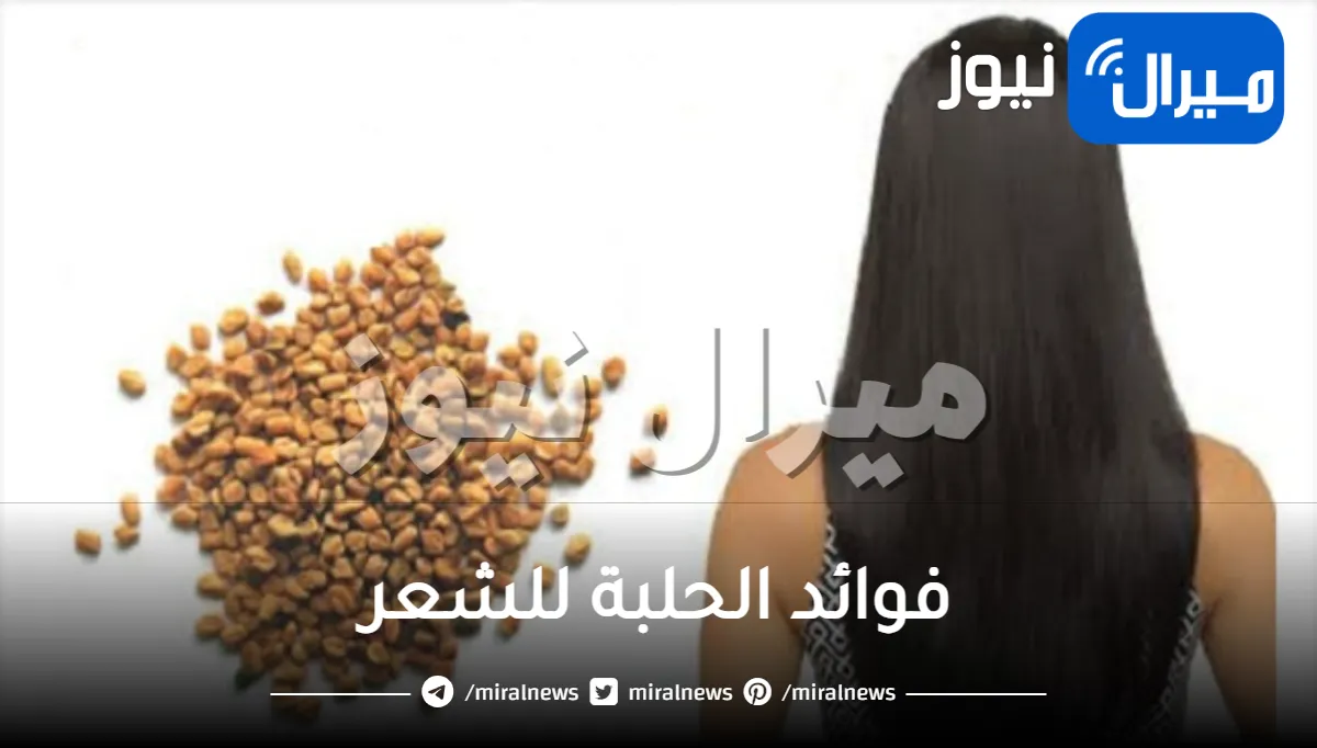 فوائد الحلبة للشعر وكيفية استخدامها