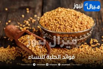 أبرز 9 فوائد الحلبة للنساء وطرق استخدامها