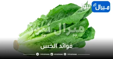 30 فائدة من فوائد الخس للبشرة والشعر والصحة