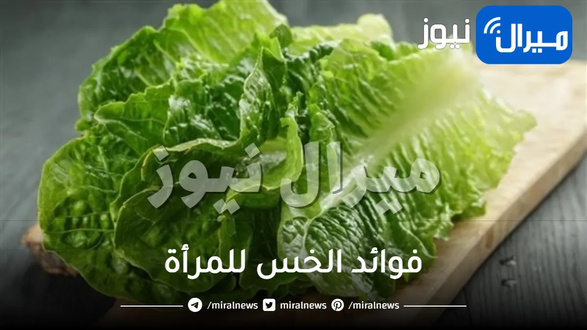 فوائد الخس للمرأة