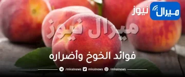 فوائد الخوخ وأضراره