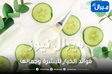 فوائد الخيار للبشرة وجمالها .. فوائد الخيار المذهلة للجسم