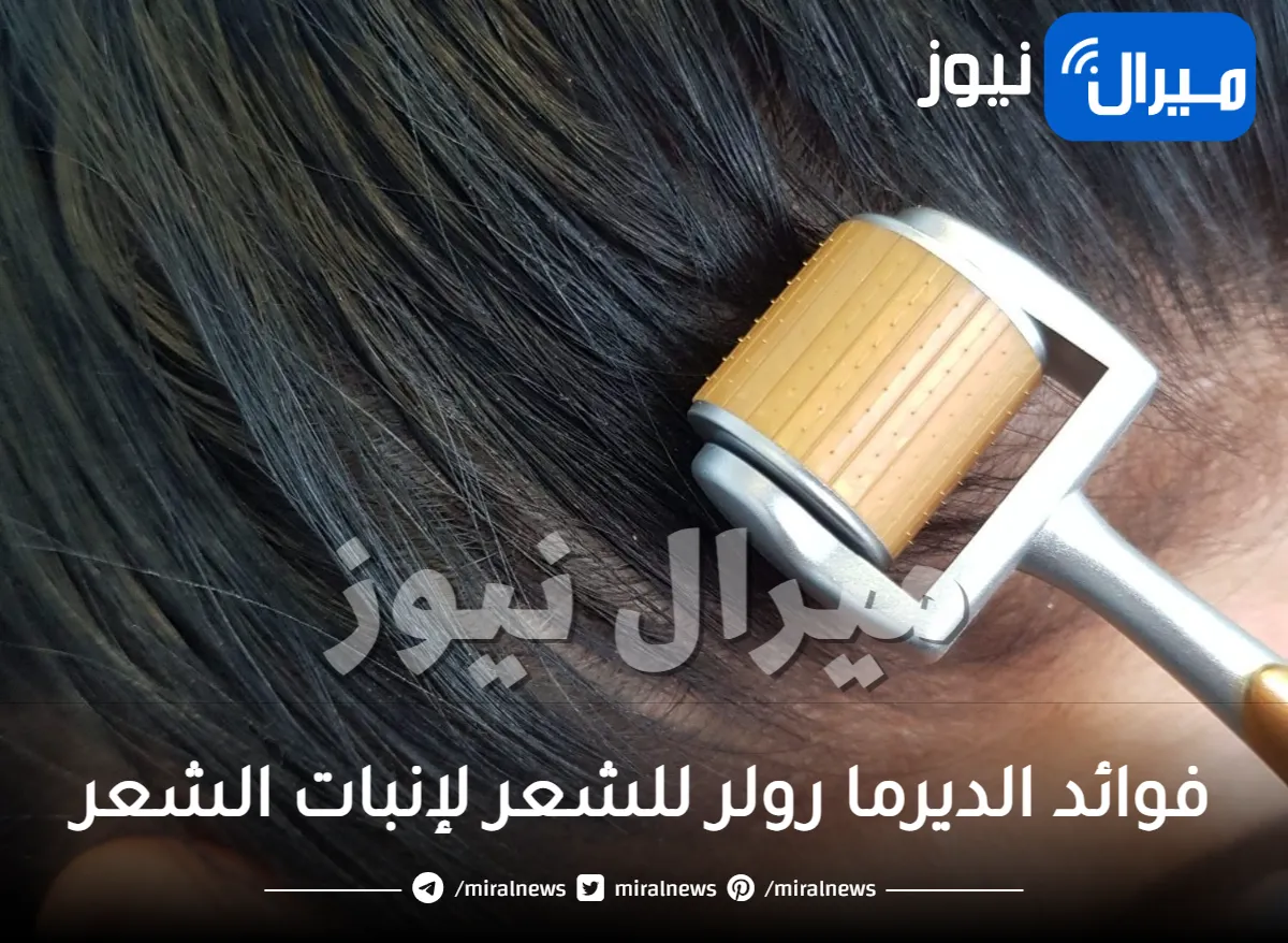 فوائد الديرما رول للشعر لإنبات الشعر وتنشيط الدورة الدموية بالإبر الدقيقة