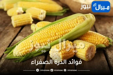 فوائد الذرة الصفراء