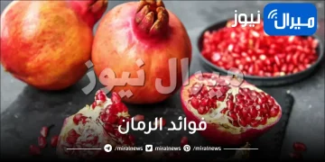 37 فائدة من فوائد الرمان للشعر والبشرة والصحة