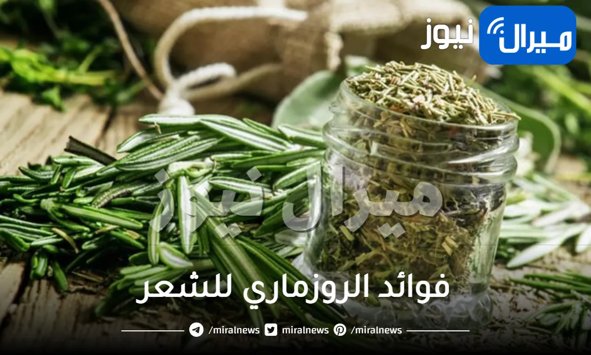 فوائد الروزماري للشعر