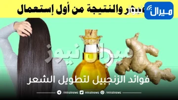 فوائد الزنجبيل لتطويل الشعر