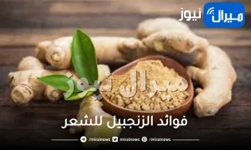 فوائد الزنجبيل للشعر وكيفية استخدامه