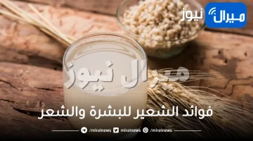 26 فائدة من فوائد الشعير للبشرة والشعر والصحة