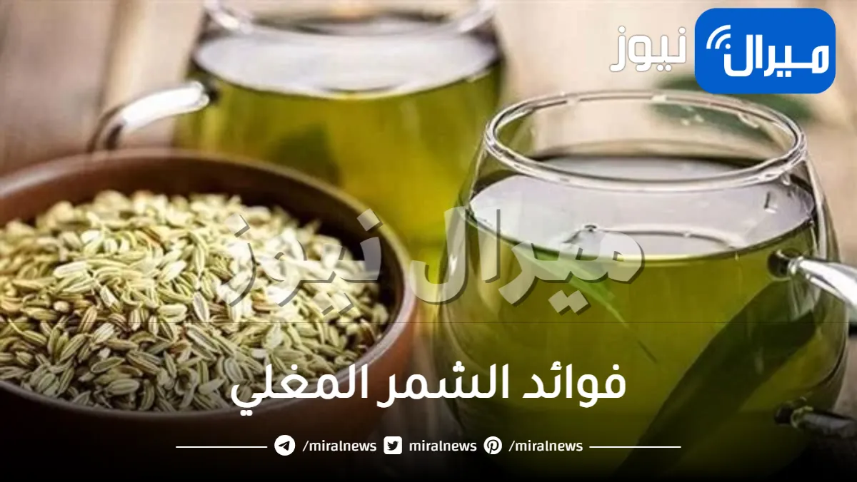 فوائد الشمر المغلي