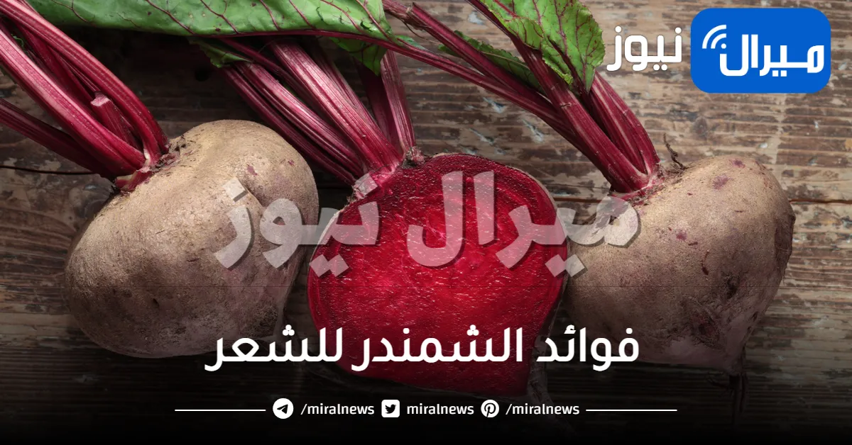 فوائد الشمندر للشعر وطرق استخدامه