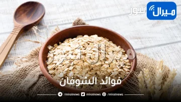 21 فائدة من فوائد الشوفان للشعر والبشرة والصحة
