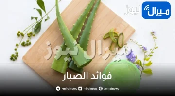 14 فائدة من فوائد الصبار للشعر والبشرة والصحة