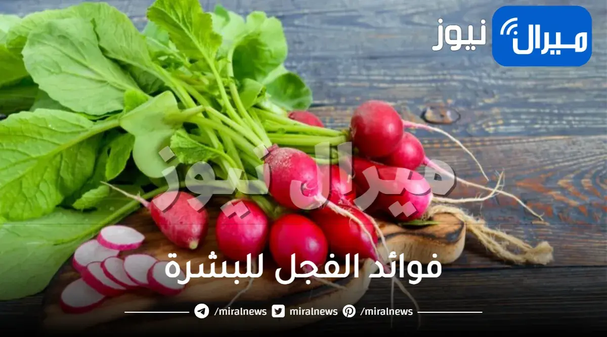 فوائد الفجل للبشرة
