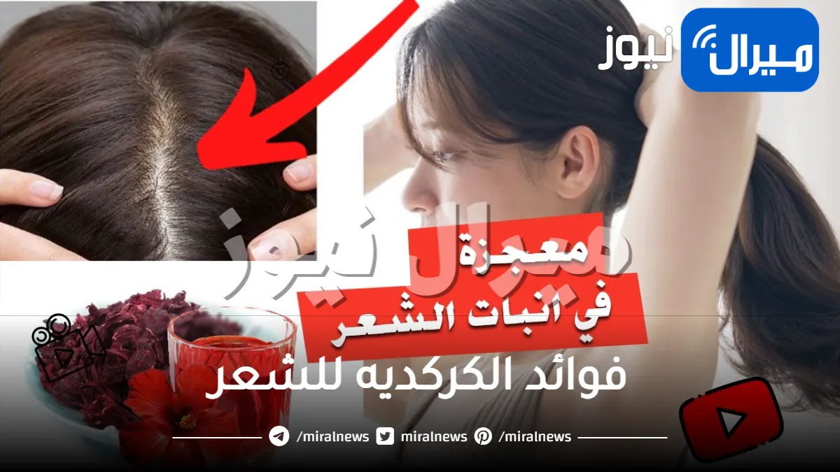 فوائد الكركديه للشعر