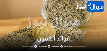 فوائد الكمون للكلى والسكر والضغط والمعدة والرحم