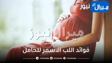 فوائد اللب الاسمر واضراره للحامل