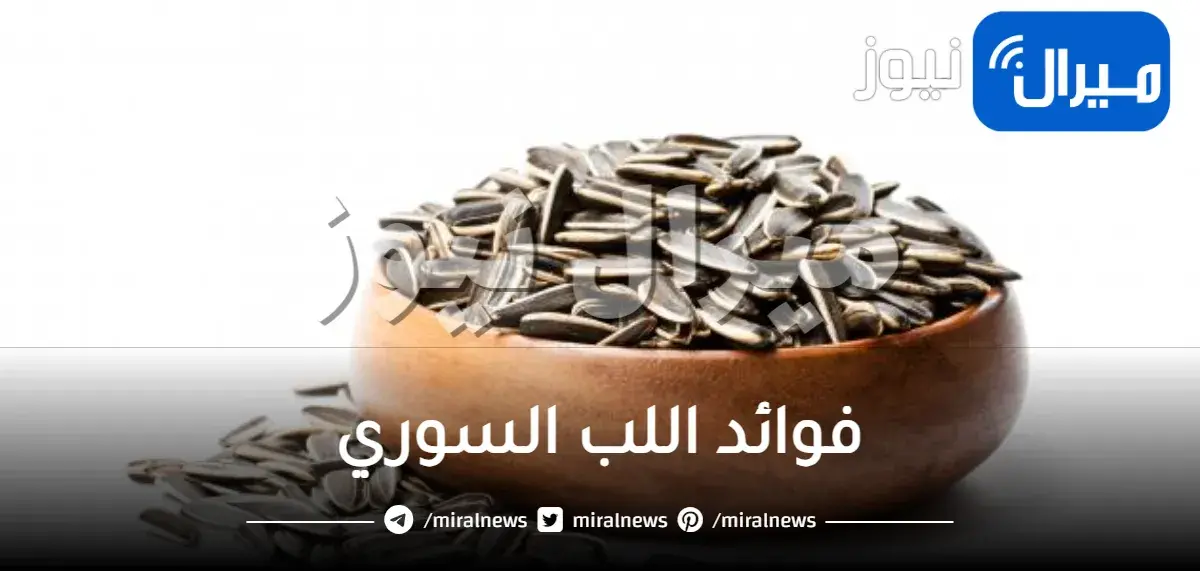 فوائد اللب السوري عديدة ابرزها للتخسيس وللرجال