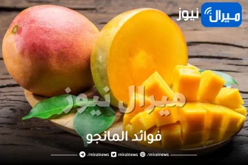 30 فائدة من فوائد المانجو الصحية والجمالية