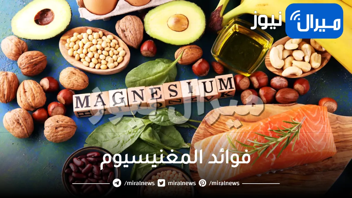 ماهي أهم فوائد المغنيسيوم للجسم