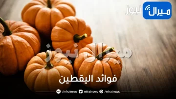 20 فائدة من فوائد اليقطين الجمالية والصحية