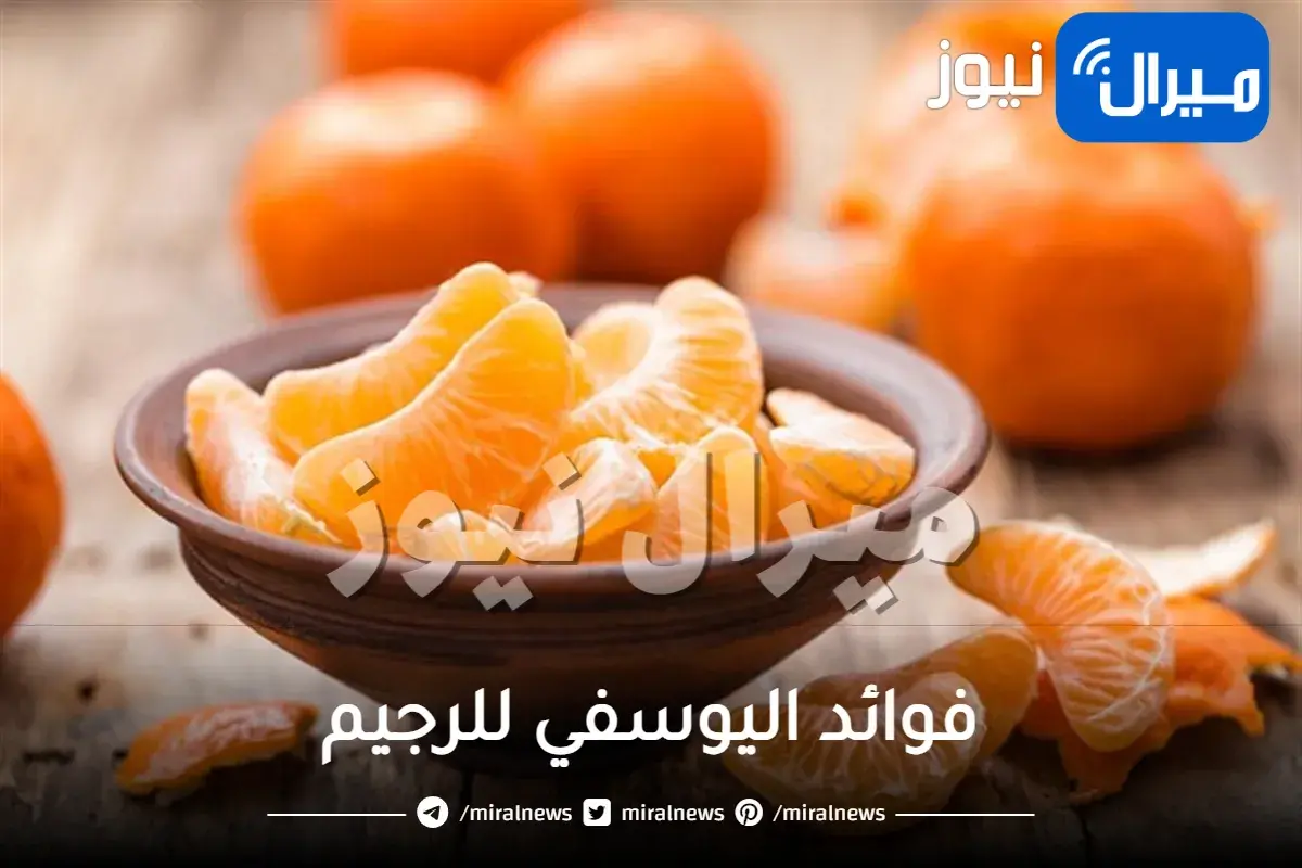 فوائد اليوسفي للرجيم وكم عدد السعرات الحرارية التي يحتويها اليوسفي