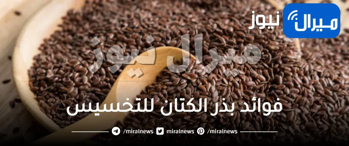 فوائد بذر الكتان للتخسيس واضراره