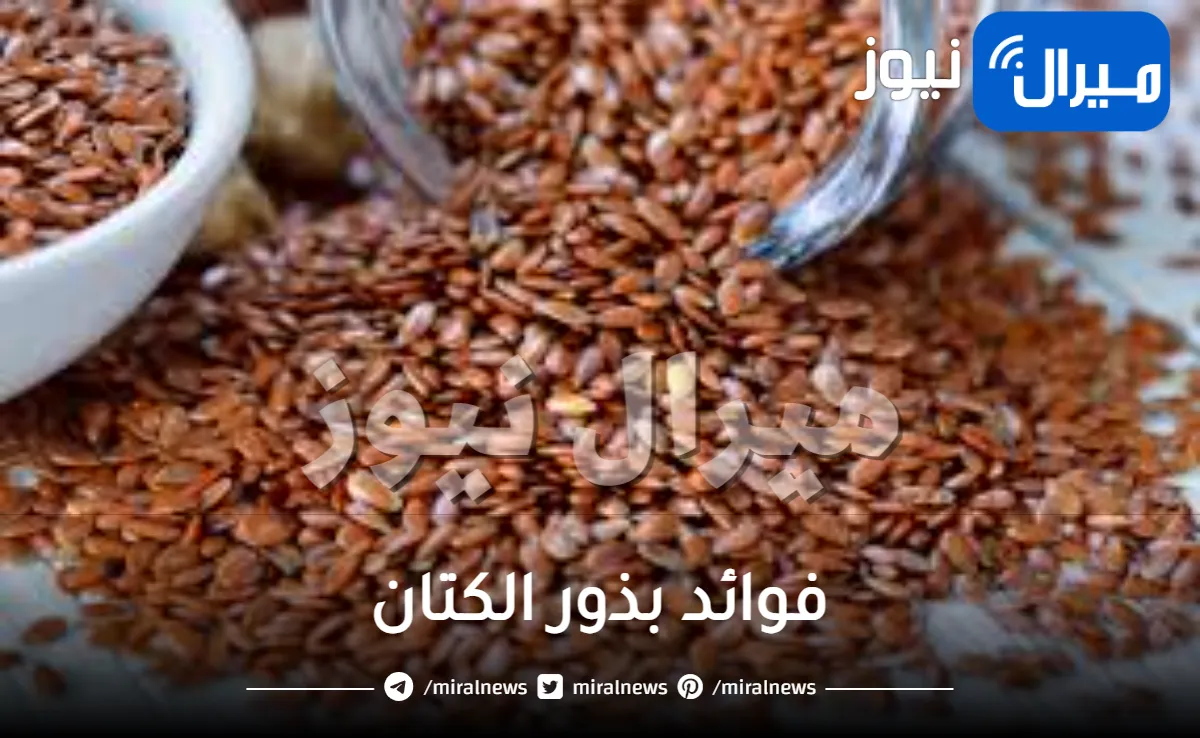 20 فائدة من فوائد بذور الكتان الجمالية والصحية