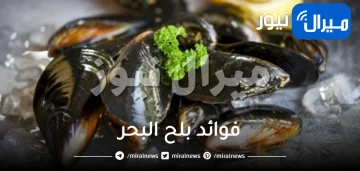 فوائد بلح البحر