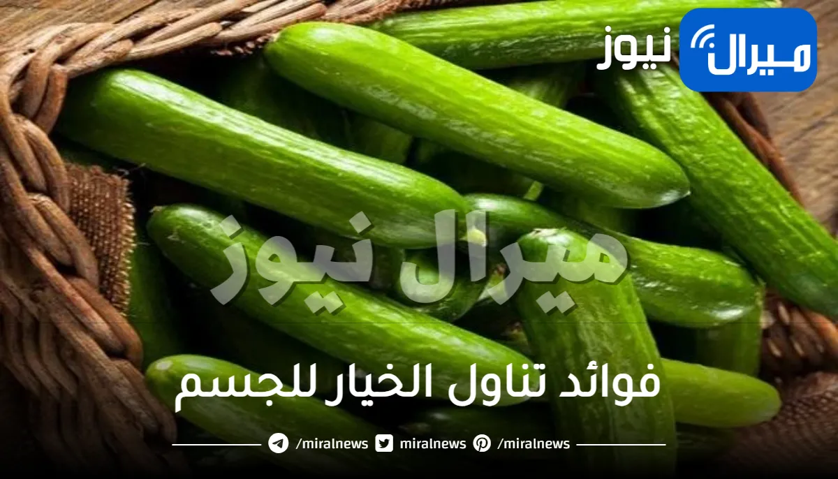 فوائد تناول الخيار للجسم