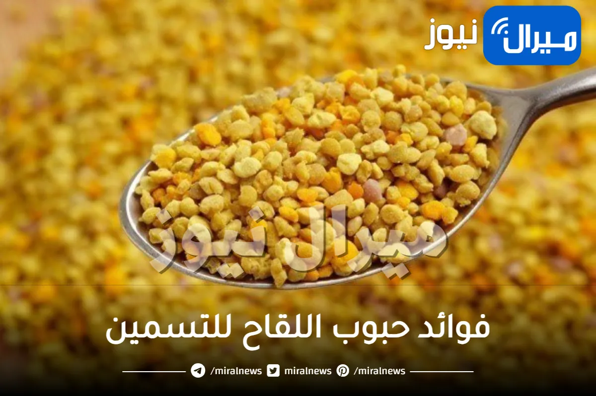 فوائد حبوب اللقاح للتسمين