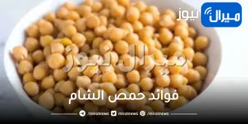 فوائد حمص الشام