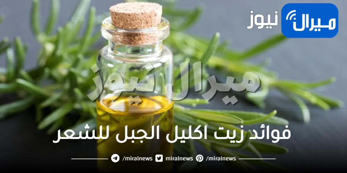 هل يعمل زيت اكليل الجبل على تطويل الشعر ومنع تساقطه ؟