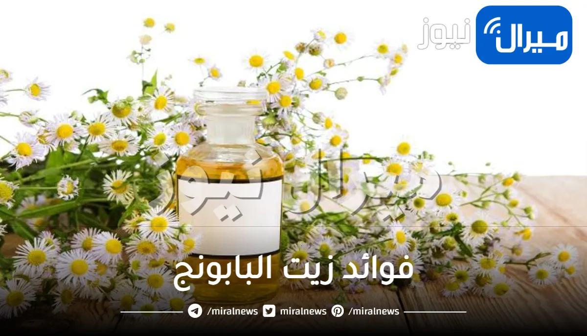 ماهي أهم فوائد زيت البابونج