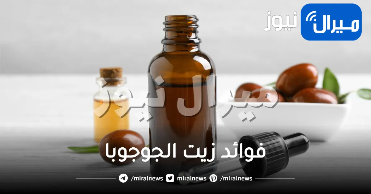 10 أهم فوائد زيت الجوجوبا