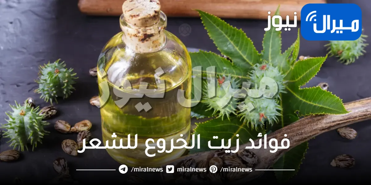 فوائد زيت الخروع للشعر وكيفية استخدامه