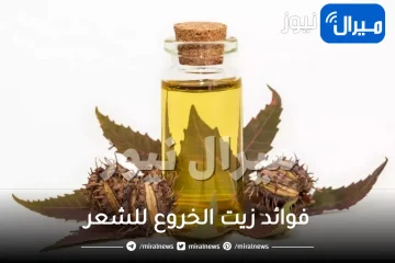 وصفات وفوائد زيت الخروع للشعر