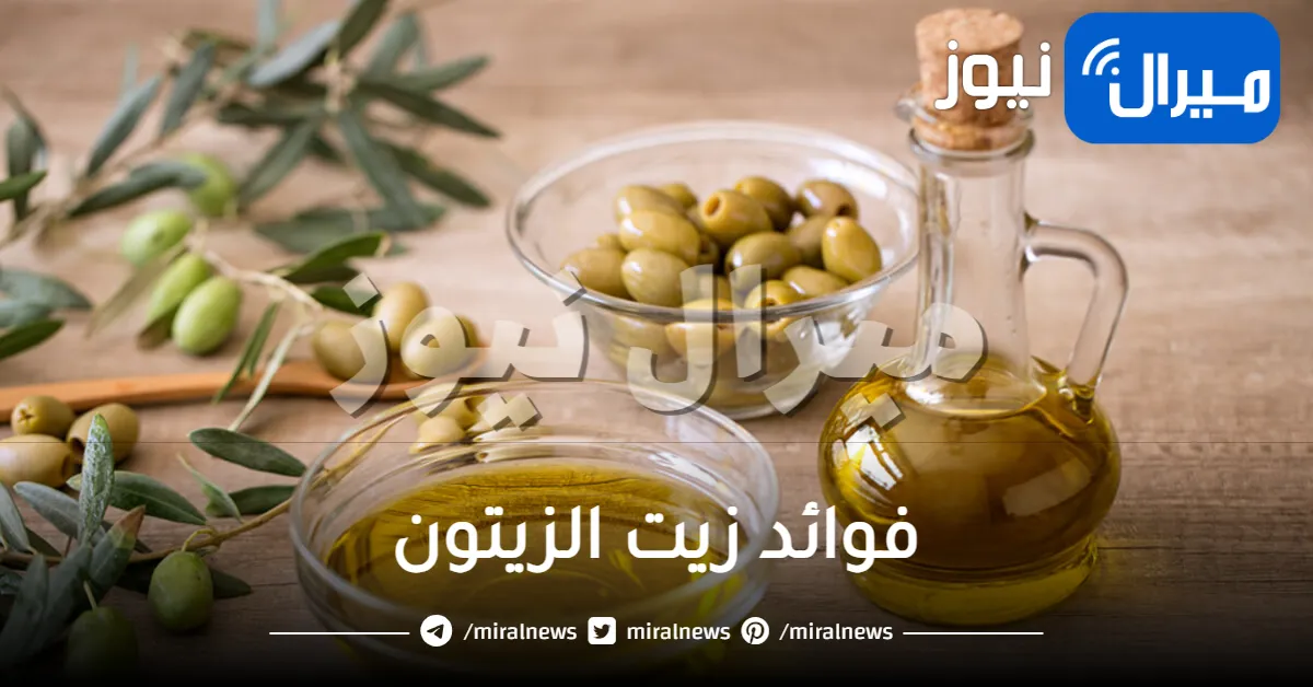 25 فائدة من فوائد زيت الزيتون للشعر والبشرة وصحة