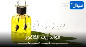 فوائد زيت الكافور