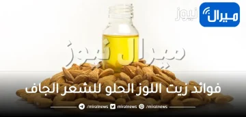 فوائد زيت اللوز الحلو للشعر الجاف