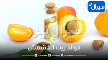 13 أهم فائدة لزيت المشمش