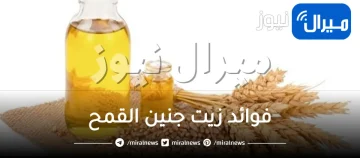 فوائد زيت جنين القمح