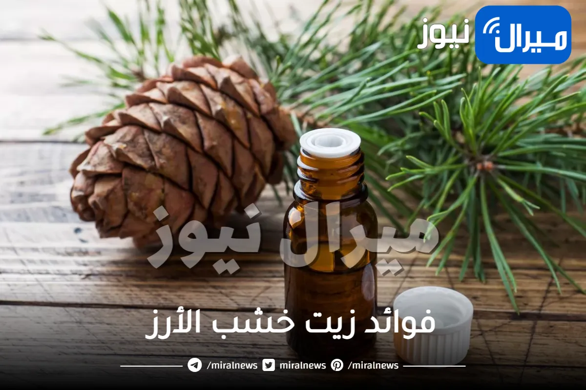 10 أهم فوائد لزيت خشب الأرز
