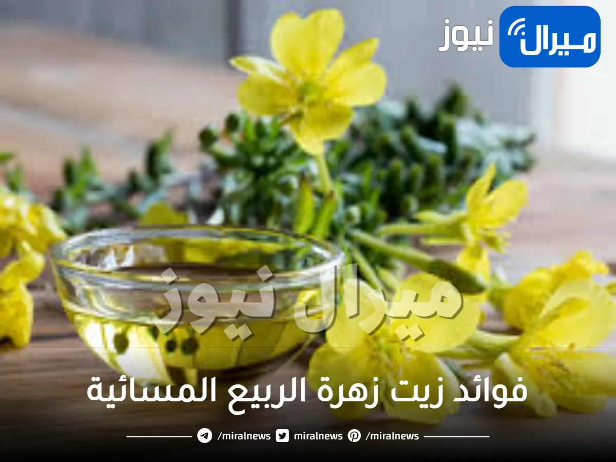 فوائد زيت زهرة الربيع المسائية