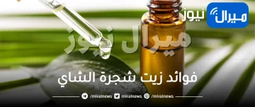 ماهي أهم فوائد زيت شجرة الشاي
