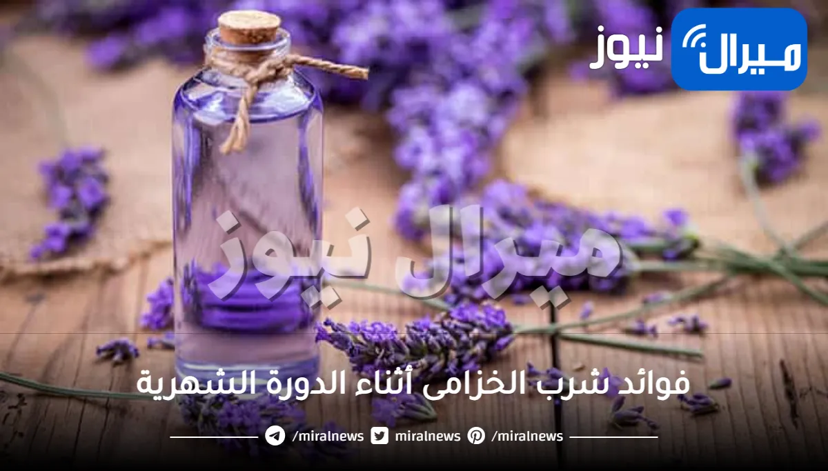 فوائد شرب الخزامى أثناء الدورة الشهرية