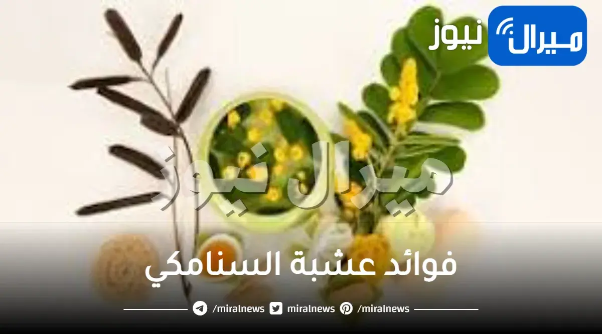 فوائد عشبة السنامكي