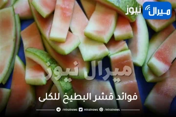 فوائد قشر البطيخ للكلى