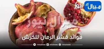 فوائد قشر الرمان للكرش